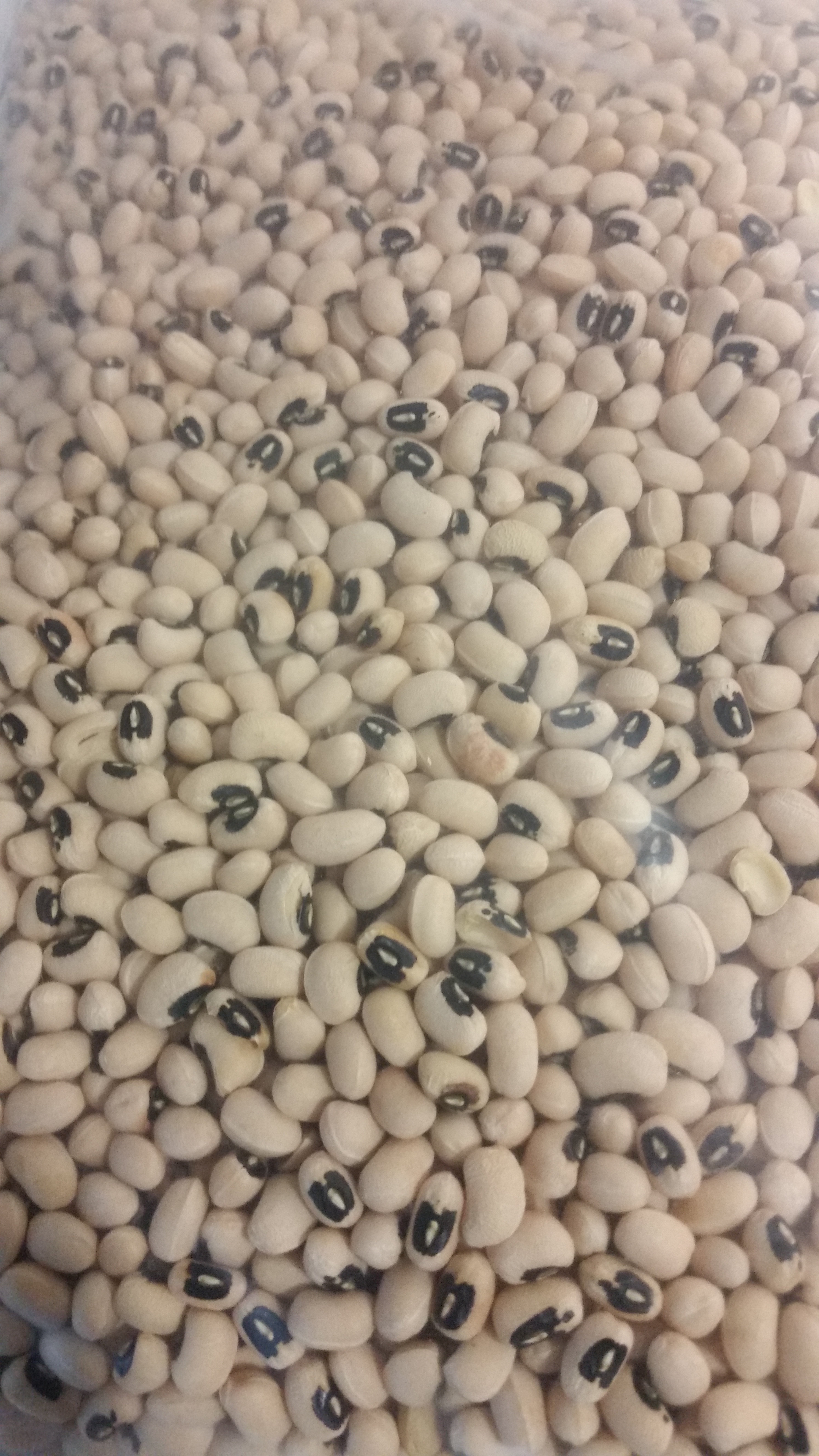 Black Eye Peas 5lbs